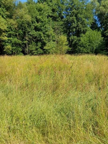 TEREN INTRAVILAN &Icirc;N MARGA-LA DN68 JUD.CARAȘ-SEVERIN - 8