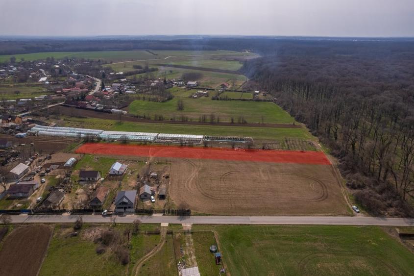 NUCI - BALTA NEAGRA, LOT 3080 MP, LA PADURE! - 5