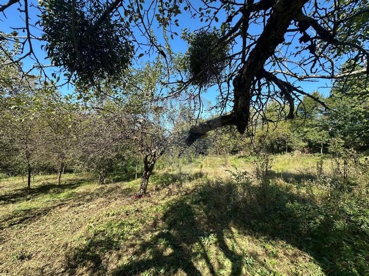 TEREN intravilan cu potential - 4