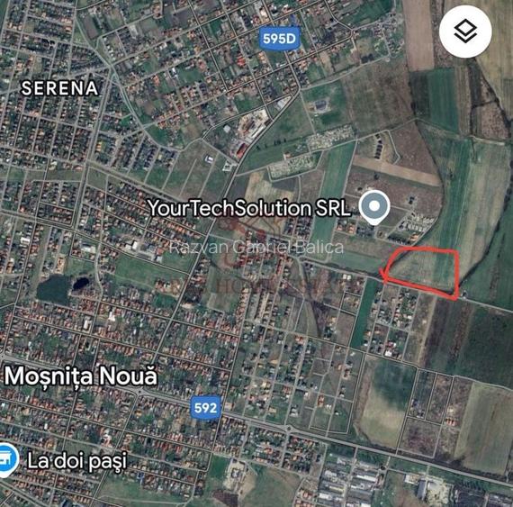 Teren parcelabil cu toate utilitatile 10.000 mp Moșnița Nouă – 18 €/mp