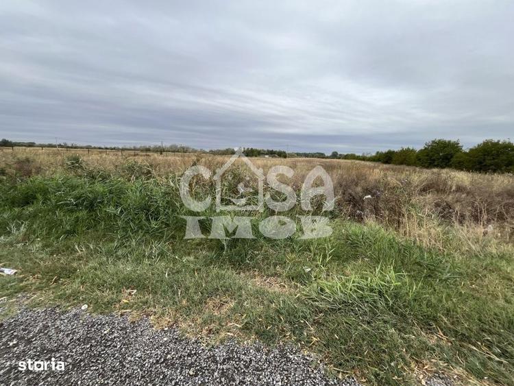 Teren intravilan 15000 mp oportunitate business - 3