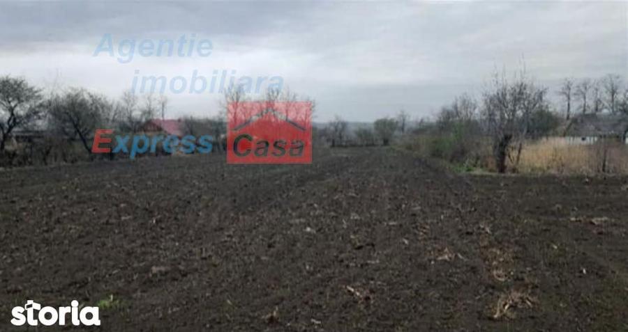 Teren de vanzare 3000 mp, Prisacani (27 km de IASI) - 5
