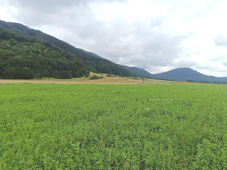 De vanzare - Teren intravilan pentru constructii – 16.500 mp / 0% comision - 11