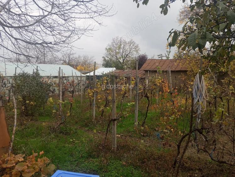 Casa batraneasca, 1000 mp, la 14 km de oras