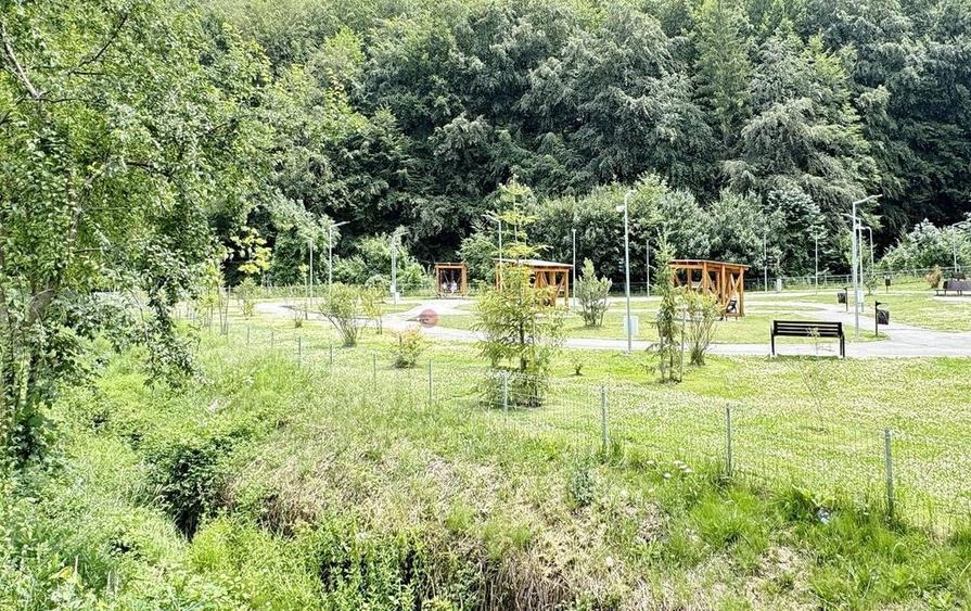 Pet Friendly complex Tampa Gardens - 11