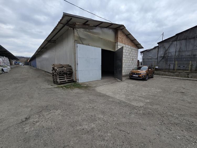 Hale cu suprafatade  220 mp si 440 mp zona Ambient - 8