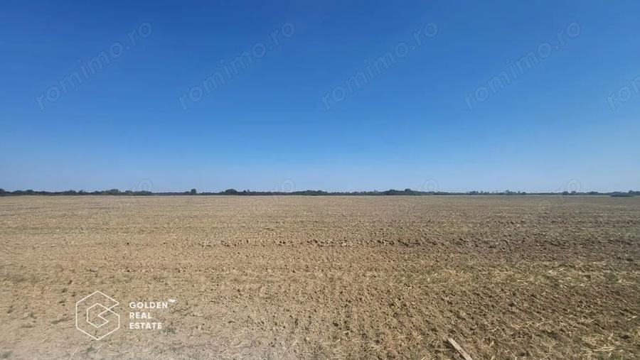 Teren Mosnita Noua, 11600 mp - 4