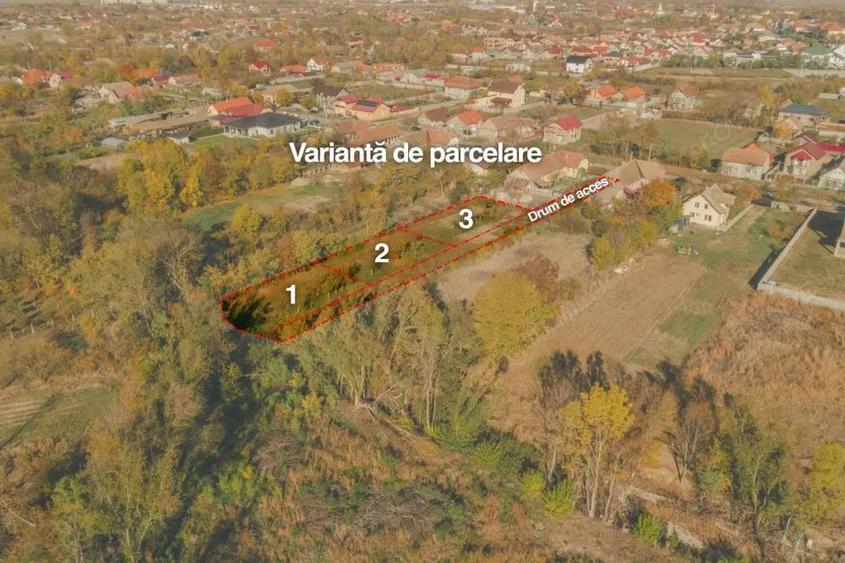Parcele intravilane | Jebel | Drum de servitute | - 7