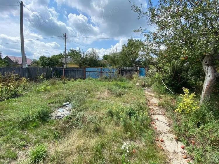 Vand casa batraneasca cu teren - 3