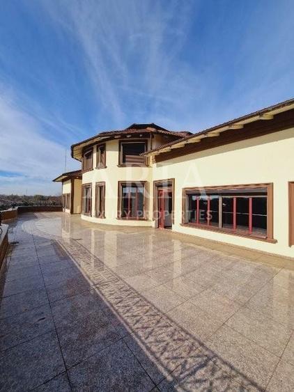 VANZARE VILA | HALA IN VLADICEASCA | SNAGOV | 10.500 MP TEREN - 3