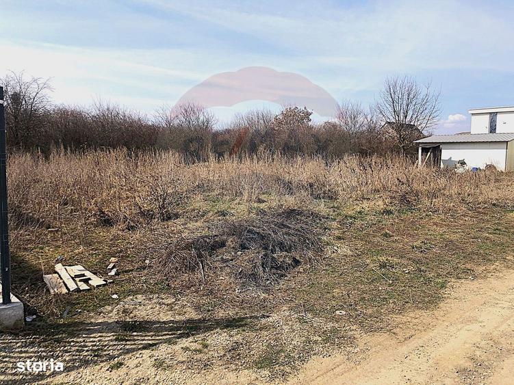 Comision 0% | Teren Intravilan Sanpetru | Strada Gutuiului | 500 mp | - 1