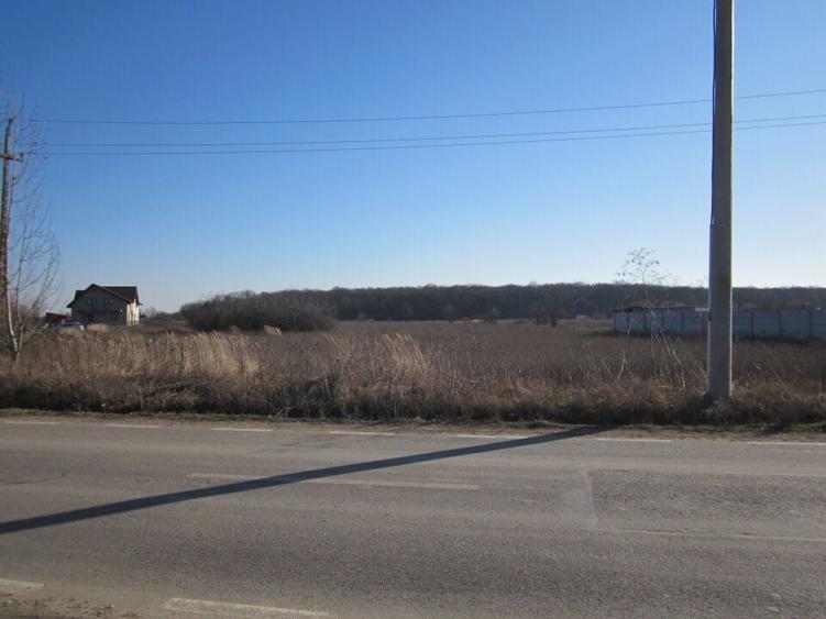 Teghes-Padurarului - 9