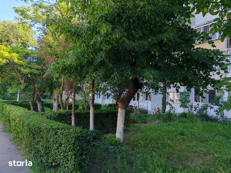 Apartament cu 2 camere semidecomandat în Nufărul