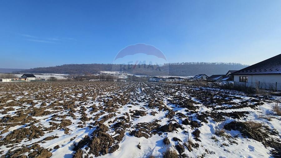 Teren intravilan 2200mp, Suceava / DJ208D - 4