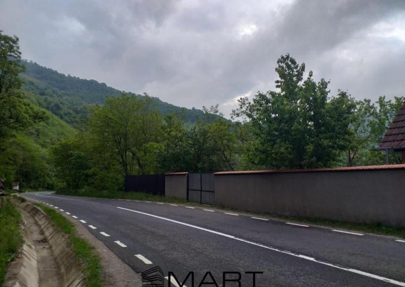 Teren extravilan 7432 mp, cu cabana de lemn Capalna AB - 12