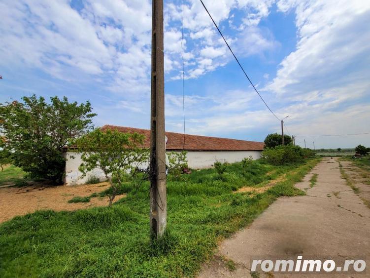 Domeniu, 9,5 ha, 25 KM de Timisoara - 11