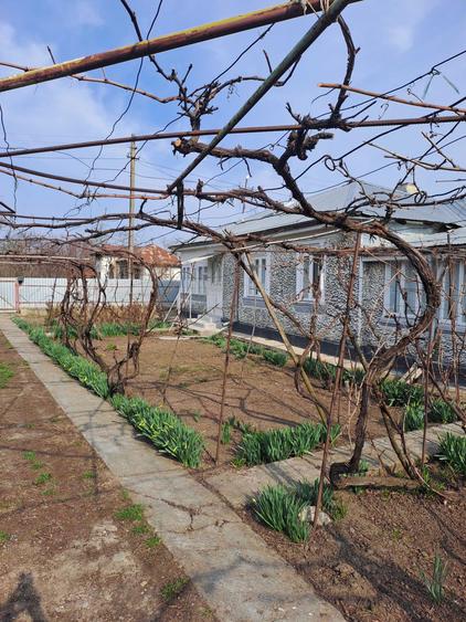 Casa Bordesca Noua - 1