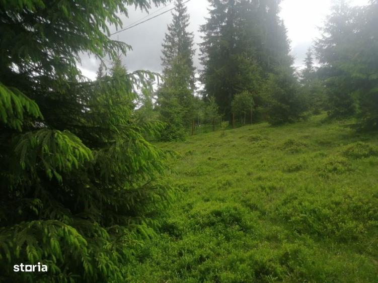 Teren de vanzare Belis1300mp Strada principala Intravilan - 6