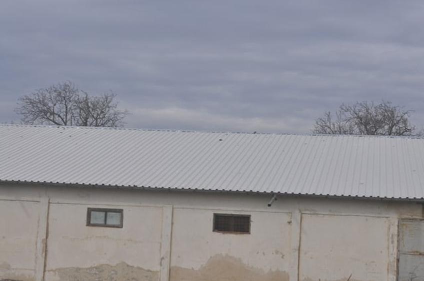 DEPOZIT CEREALE - CEAMURLIA DE JOS/STATIA CFR TVA INCLUS - 10