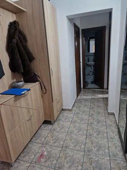 COLENTINA RAU, MAIOR BACILA IN PLAN SECUND, PARCUL PLUMBUITA LA 5MIN. - 3