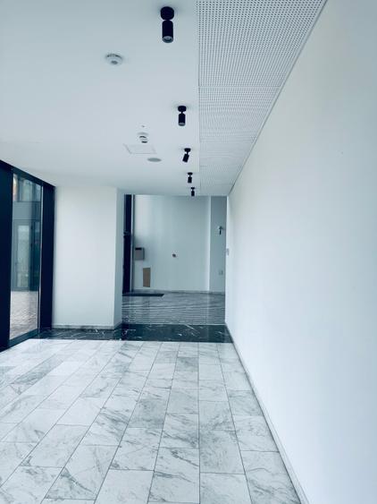 Victoriei / Petru Rareș Loft / Apartament Premium/ Parcare Subterana - 4