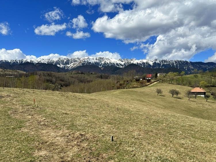 Teren 1550 mp, sat Pestera, zona Bran-Moieciu, jud. Brasov - 8