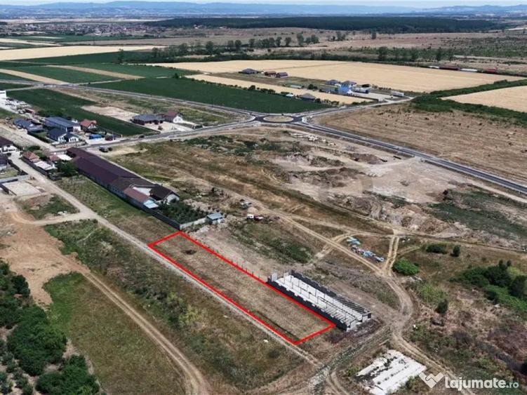 RECO Teren intravilan in Cheriu 1.232mp - 7