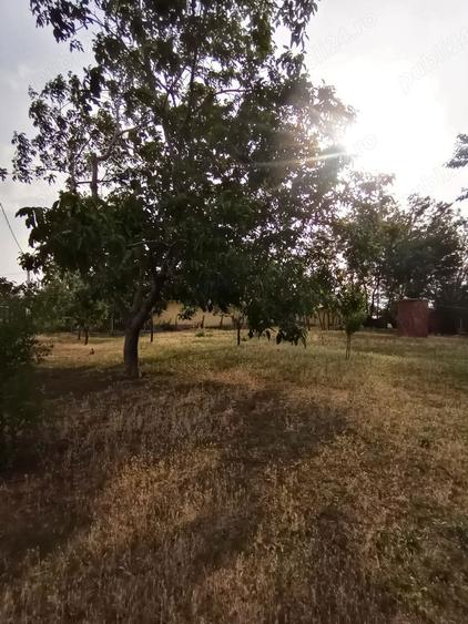 Vand teren intravilan(casa)Cioranca, Localitatea Movila Banului, Jud. Buzau - 2
