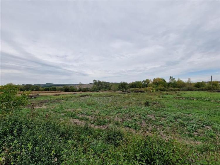 RECO teren intravilan Ineu - 7