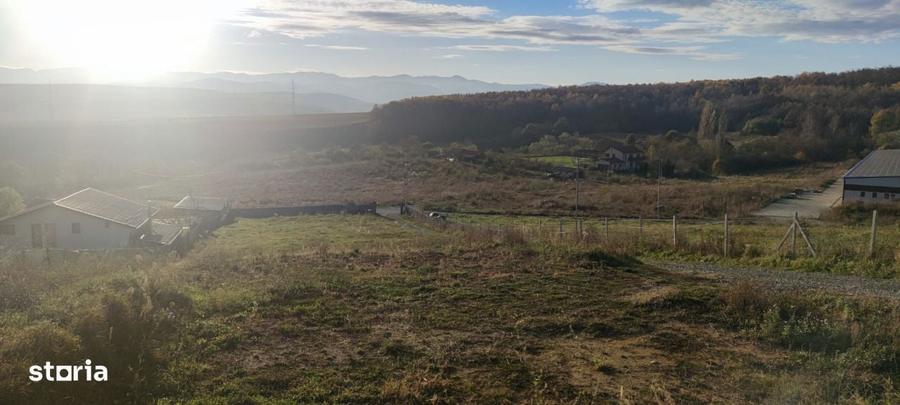 Teren intravilan sat Ciurila 1000 m - 5