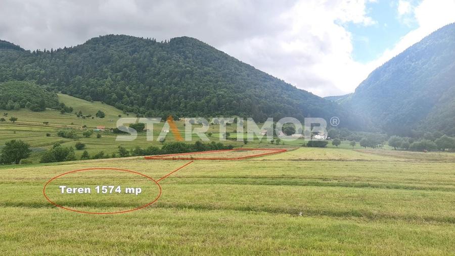 Teren intravilan Zarnesti - 7