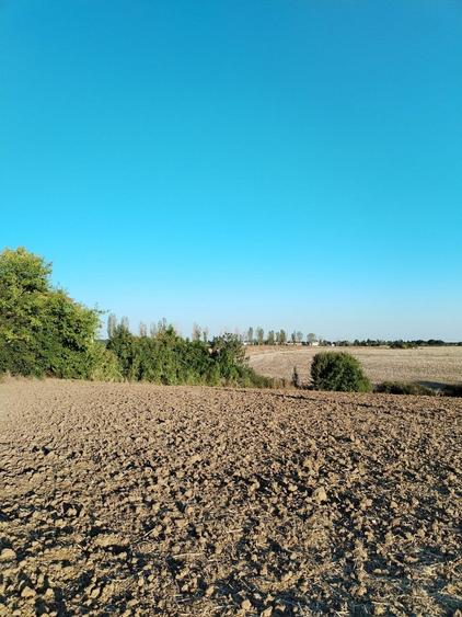 Ciolpani, spre Izvorani - COR, vanzare teren 5000mp. - 15