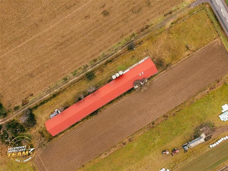 FILM! Ferma de iepuri,Malnas,Covasna: domeniu:industrial/comercial,asset UE - 41