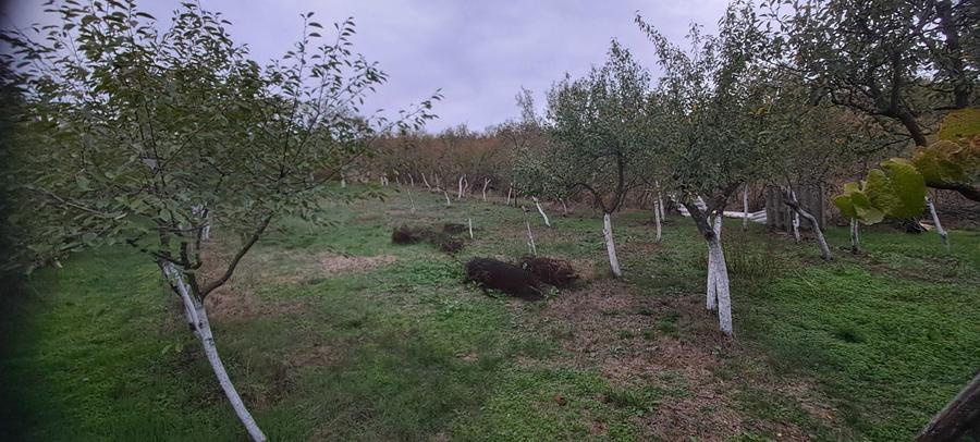 Casa de vanzare-Colonesti-sau schimb cu garsoniera in Slatina - 4
