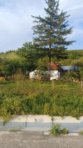 Vand casa cu teren 1 hectar Vand casa cu teren 1 hectar