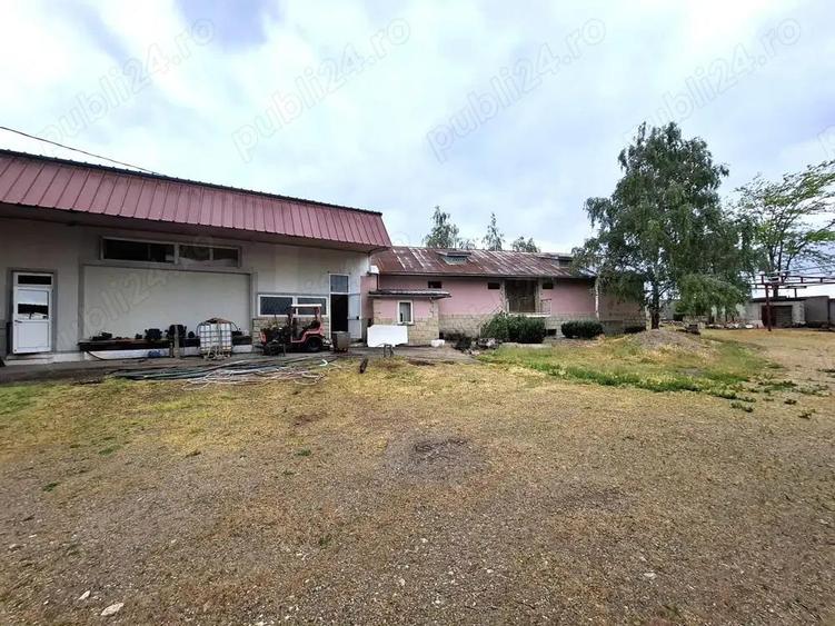 Crama de vanzare Odobesti -Vartescoiu - 1