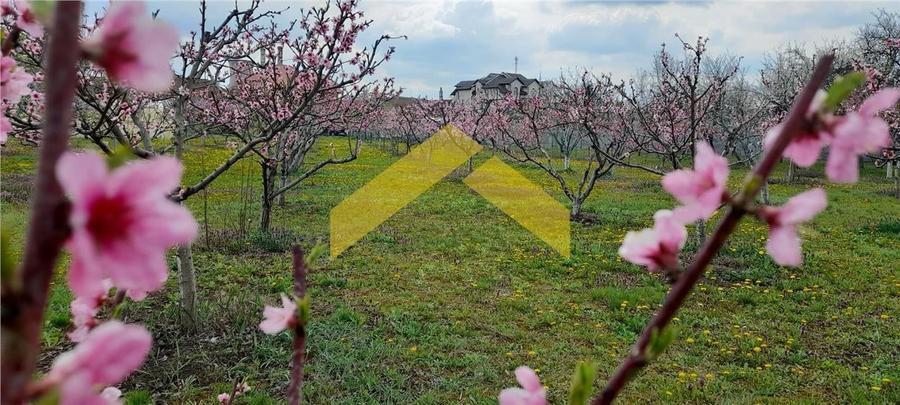 Casa de vanzare zona Gradiste - 5