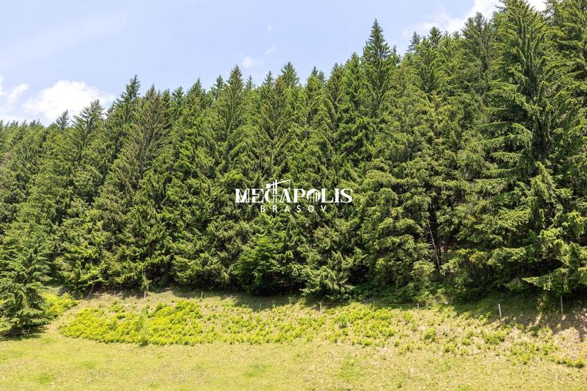 Pretabil Hotel,Pensiune,Case de Vacanta/Utilitati/PUZ - 23