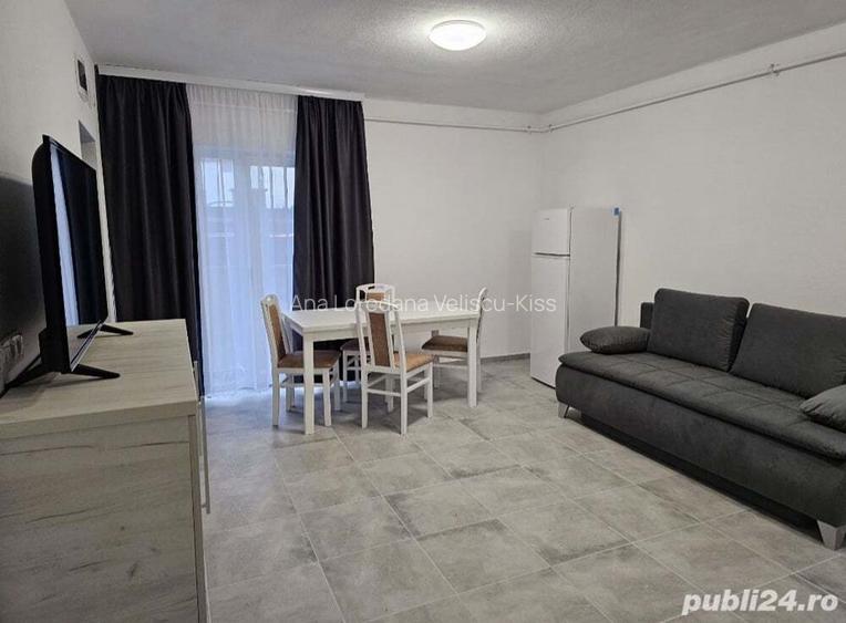 Apartament 1 camera Apartament 1 camera