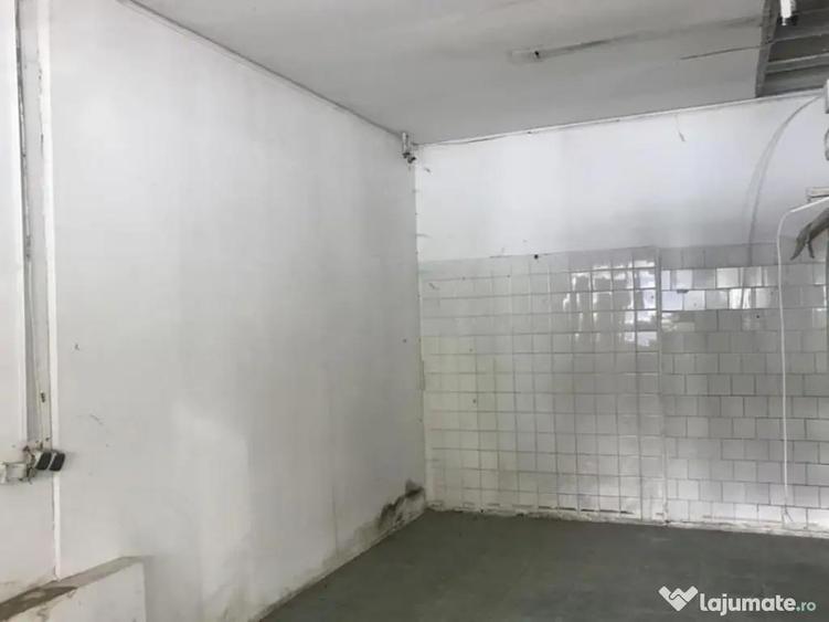 Pantelimon 90 mp Inchiriat vad comercial - 3