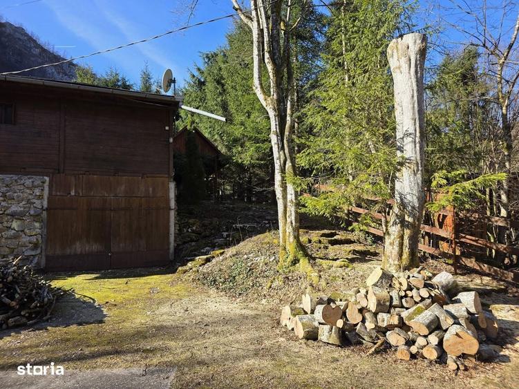 Vindem cabana la Boga- refugiu montan de poveste - 6