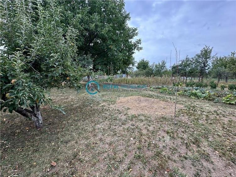 Royal Imobiliare - Vanzare vila zona Lipanesti - 34