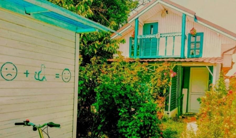 VANZARE CASA MOGOSOAIA STR.8 MARTIE - 3