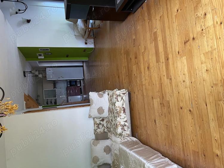 Vanzare casa Calea Ferentari - 5