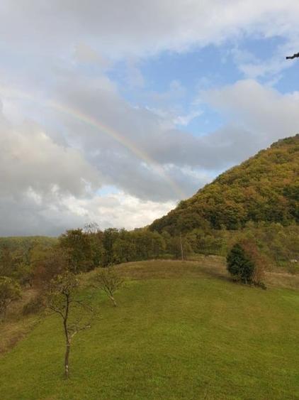 Hărțagani, teren intravilan 8500 m2, acte, superb, liniste, eco - 1