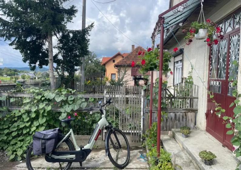 Doua case + anexa, teren 1655mp, Vama Buzaului (Acris) - 16