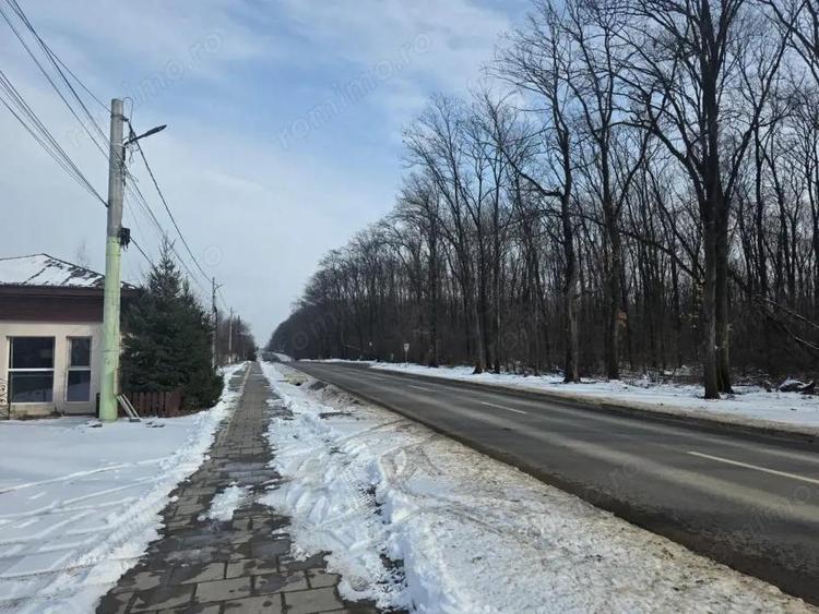 De vanzare lot de 645mp in Ciofliceni, lot casa - 6