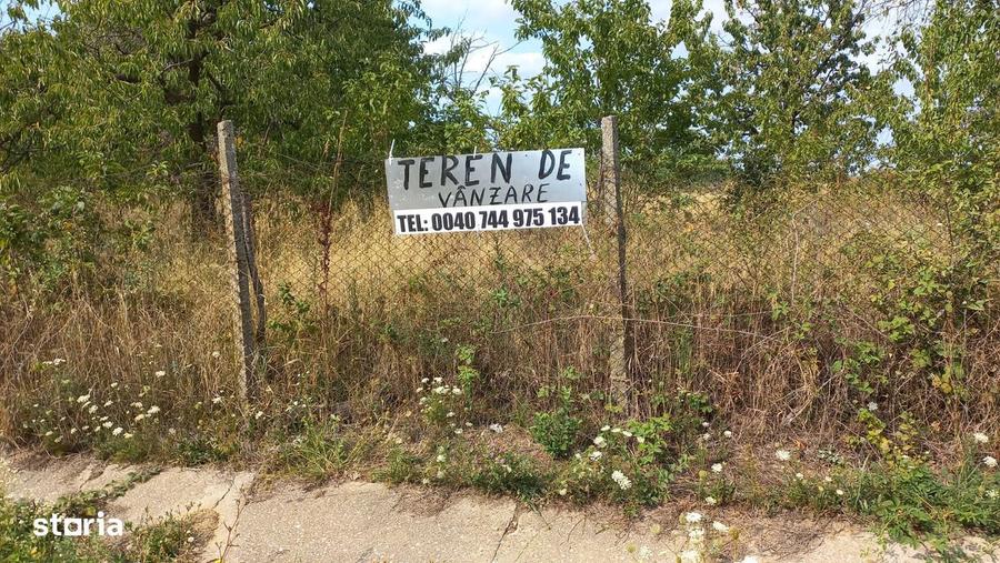 Teren loc de casa in Sisterea, langa Oradea, drum asfaltat, parcelabil - 1
