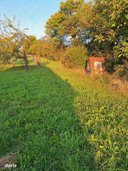 Teren cu casa si anexe - centru comuna, acte in regula - 2