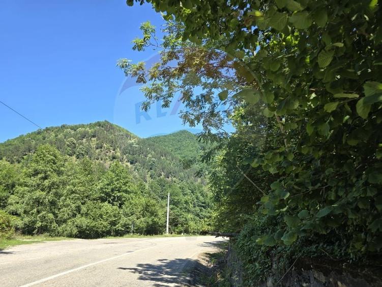 Teren 4,000mp Pascoaia / Soseaua Punctul Chiliilor - 10